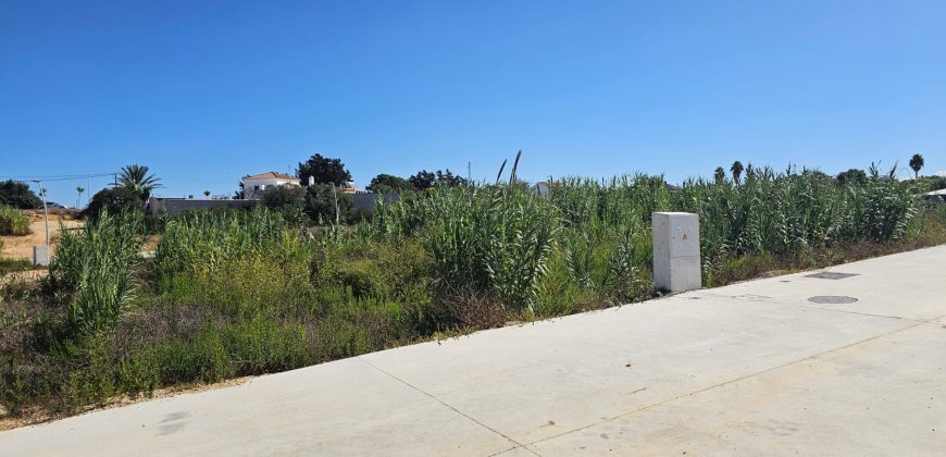 Promoción Parcelas – Quinta del Gallo – Conil de la Frontera – Cádiz