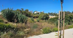 Promoción Parcelas – Quinta del Gallo – Conil de la Frontera – Cádiz