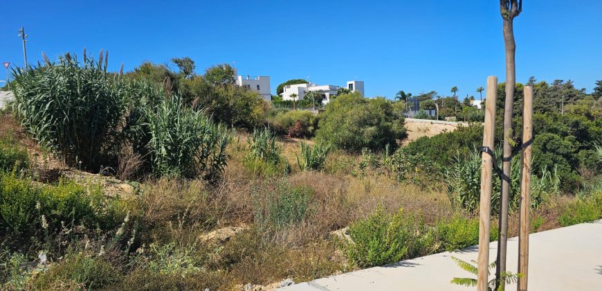 Promoción Parcelas – Quinta del Gallo – Conil de la Frontera – Cádiz